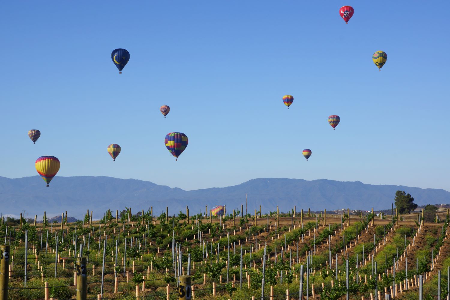 Hot air balloons over the valley 